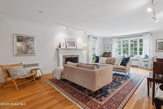 20 Darroch Rd, Bethlehem, NY 12054 - living room featuring track lighting, radiator heating unit, light wood-style flooring, a fireplace, and crown molding