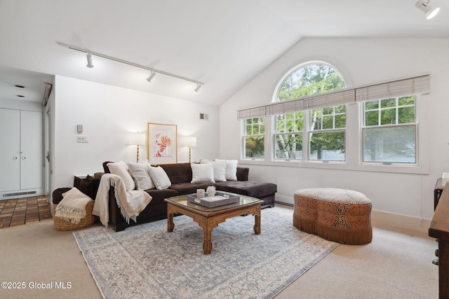 20 Darroch Rd, Bethlehem, NY 12054 - carpeted living area with rail lighting and vaulted ceiling