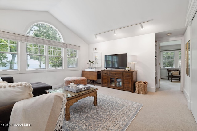20 Darroch Rd, Bethlehem, NY 12054 - living room with rail lighting, carpet floors, healthy amount of natural light, vaulted ceiling, and a baseboard heating unit