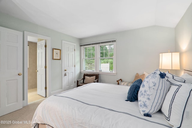20 Darroch Rd, Bethlehem, NY 12054 - bedroom featuring light carpet and lofted ceiling