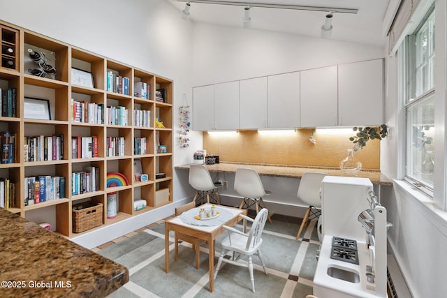 20 Darroch Rd, Bethlehem, NY 12054 - home office featuring rail lighting, plenty of natural light, and high vaulted ceiling