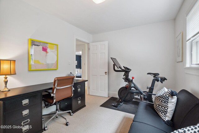 20 Darroch Rd, Bethlehem, NY 12054 - office area with light carpet