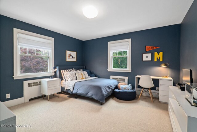 20 Darroch Rd, Bethlehem, NY 12054 - bedroom with radiator heating unit, light colored carpet, and multiple windows
