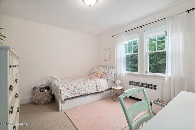 20 Darroch Rd, Bethlehem, NY 12054 - carpeted bedroom with radiator heating unit