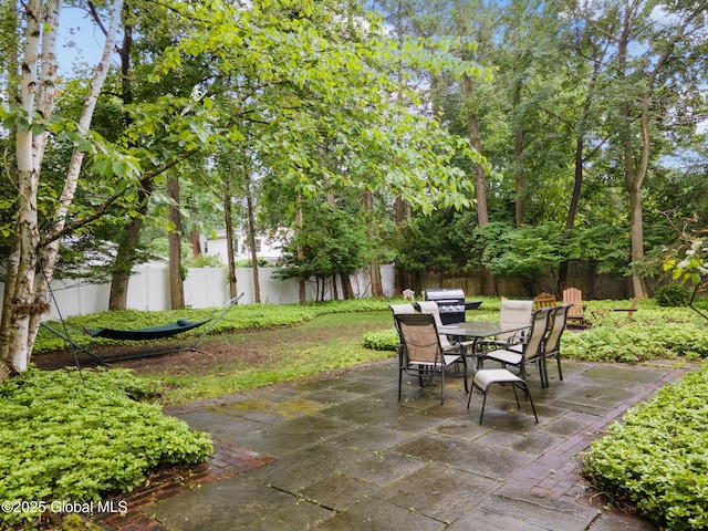 20 Darroch Rd, Bethlehem, NY 12054 - fenced backyard with outdoor dining space and a patio