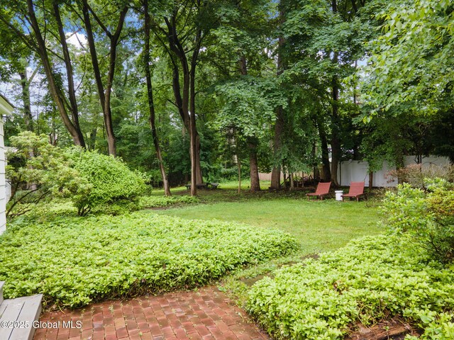 20 Darroch Rd, Bethlehem, NY 12054 - view of green lawn