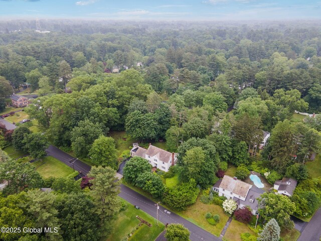 20 Darroch Rd, Bethlehem, NY 12054 - bird's eye view of a heavily wooded area