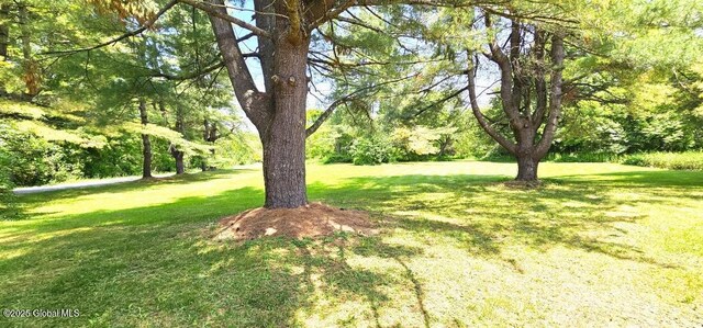 545 Rte 67, Mechanicville, NY 12118 - photo 51