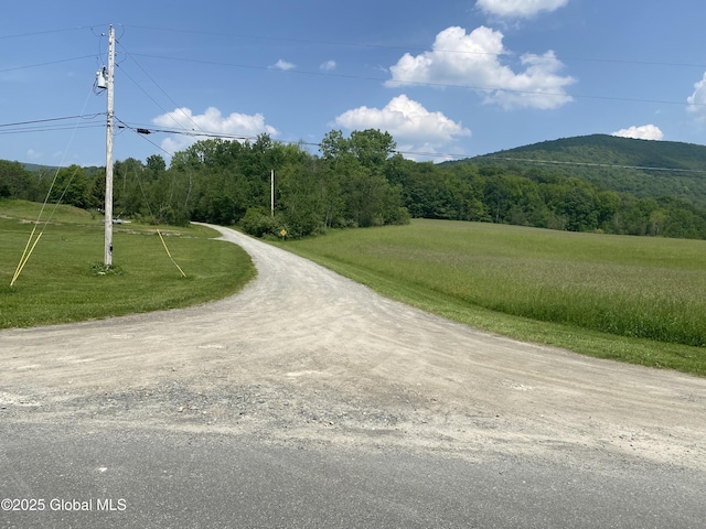 L20.44 Robinson Hollow Way, Stephentown, NY 12168