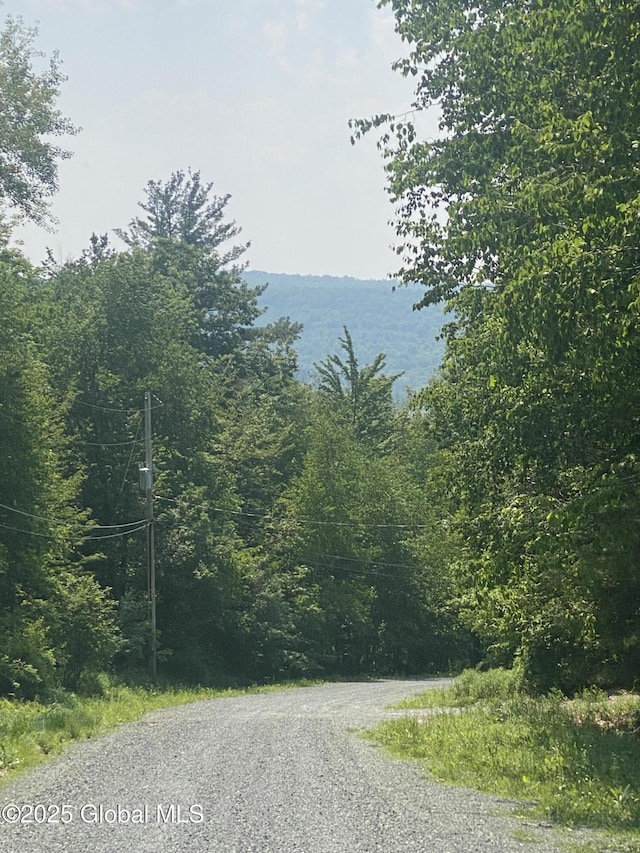 L20.44 Robinson Hollow Way, Stephentown, NY 12168