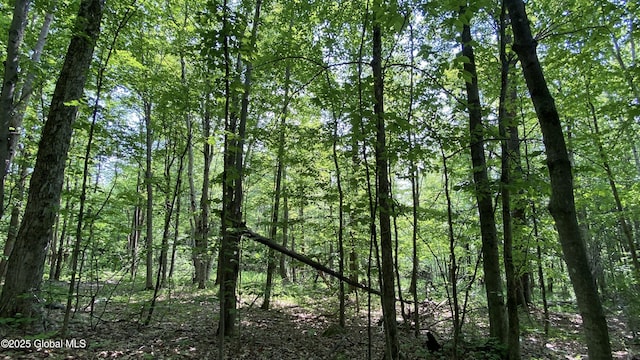L20.44 Robinson Hollow Way, Stephentown, NY 12168