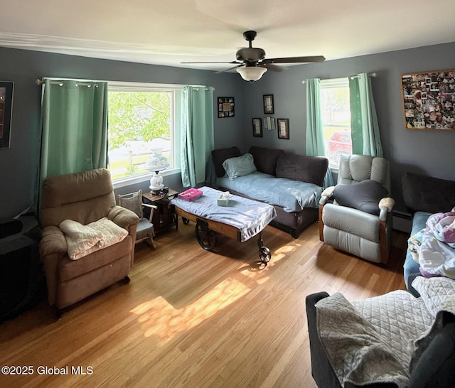 51 Coleman Ave, Hudson Falls, NY 12839 - living room with light wood finished floors, ceiling fan, and a baseboard radiator