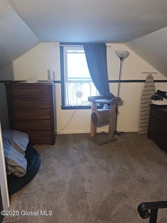 51 Coleman Ave, Hudson Falls, NY 12839 - bedroom with vaulted ceiling and carpet