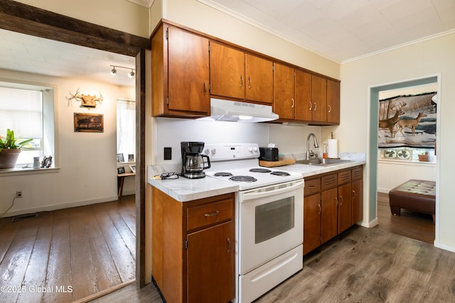 98 George St, Fort Ann, NY 12827 - kitchen featuring white electric stove, a sink, under cabinet range hood, dark wood-style flooring, and crown molding