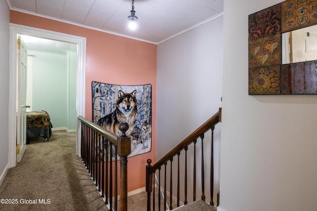 98 George St, Fort Ann, NY 12827 - stairway with crown molding, carpet floors, and baseboards