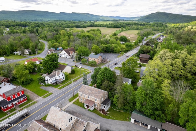 98 George St, Fort Ann, NY 12827 - bird's eye view of a mountainous background and a heavily wooded area