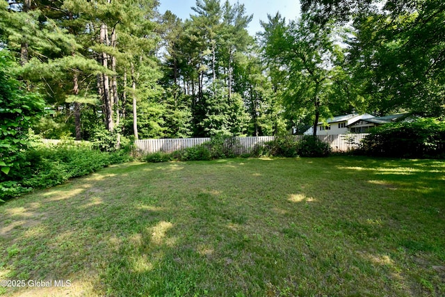102 Willow St, Guilderland, NY 12084 - view of yard