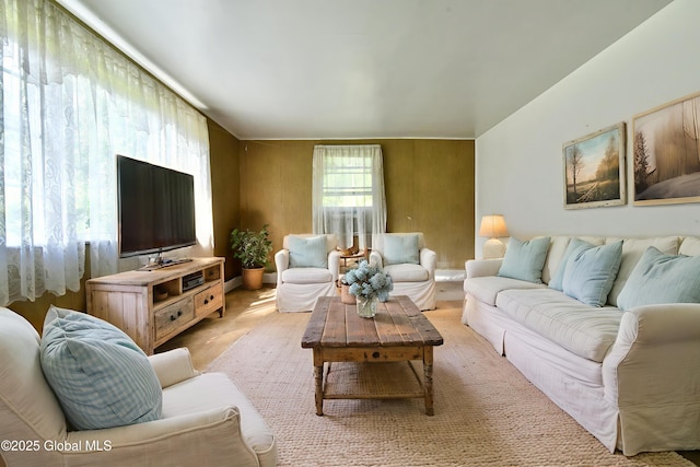 102 Willow St, Guilderland, NY 12084 - view of living area