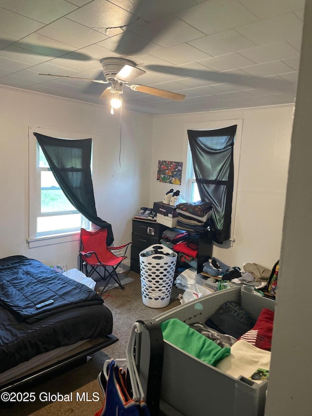 1199 State Route 30a, Esperance, NY 12035 - bedroom with carpet flooring and a ceiling fan