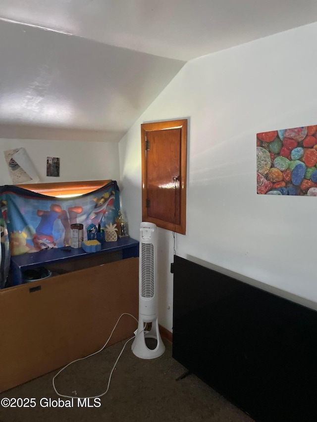 1199 State Route 30a, Esperance, NY 12035 - interior space featuring lofted ceiling and carpet