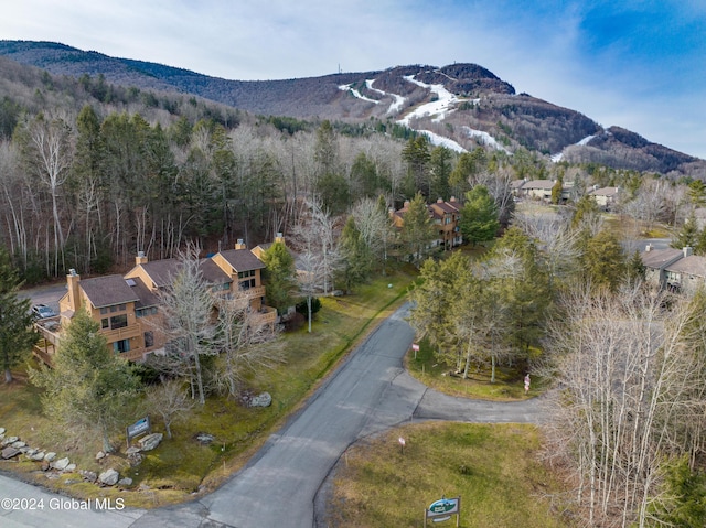 72 Hunter Dr Unit L5, Hunter, NY 12442 - view of mountain backdrop with a heavily wooded area
