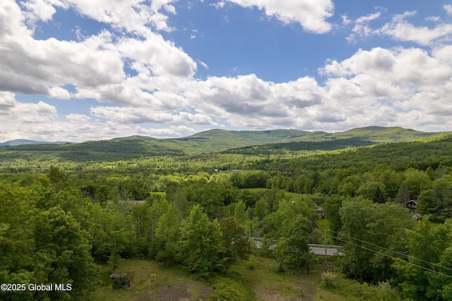 19 Knowles Rd, Rensselaerville, NY 12469 - view of mountain backdrop featuring a heavily wooded area