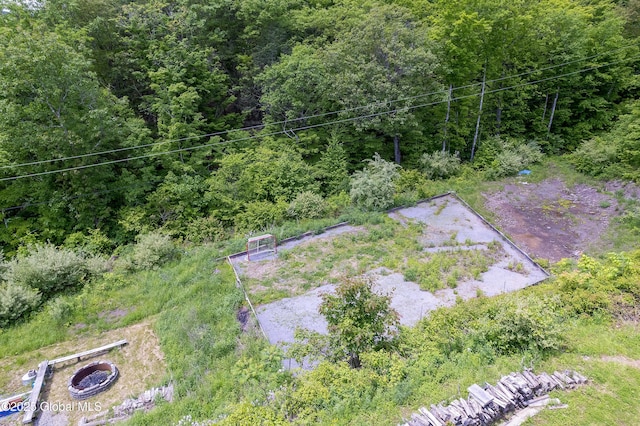 19 Knowles Rd, Rensselaerville, NY 12469 - aerial view of a forest
