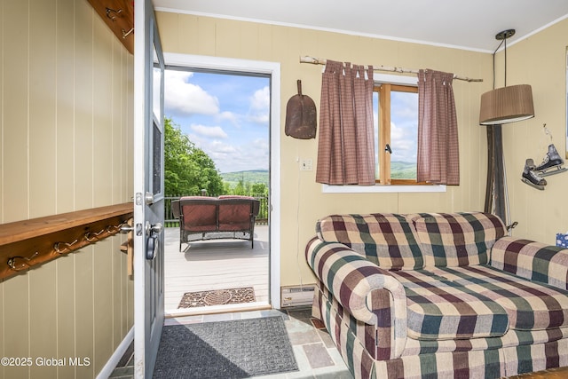 19 Knowles Rd, Rensselaerville, NY 12469 - living room featuring a baseboard radiator and ornamental molding