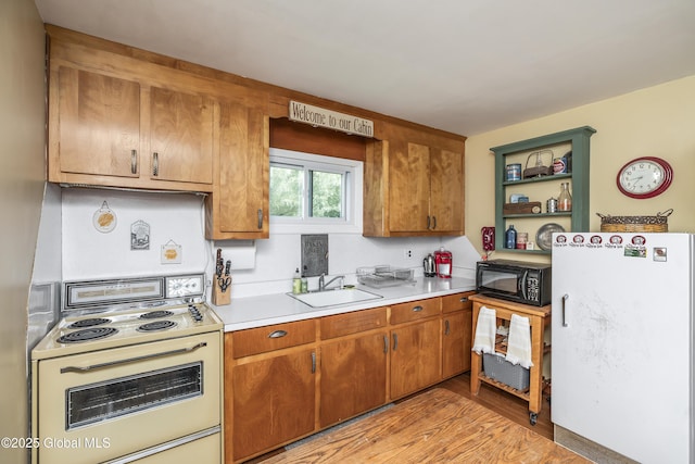 19 Knowles Rd, Rensselaerville, NY 12469 - kitchen featuring white appliances, a sink, light countertops, light wood-style flooring, and open shelves