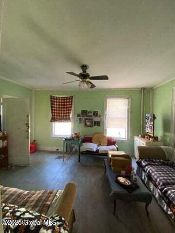 225 Main St, Fort Plain, NY 13339 - living room with plenty of natural light, ceiling fan, and wood finished floors