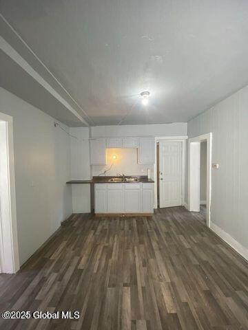 225 Main St, Fort Plain, NY 13339 - unfurnished living room with dark wood-style flooring and a sink
