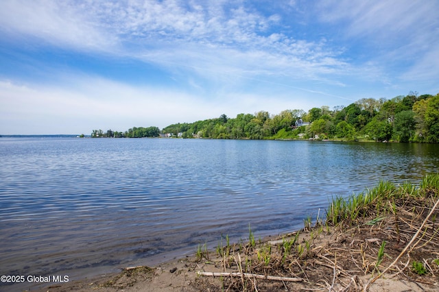 L5 Union Ave, Saratoga Springs, NY 12866 - photo 7