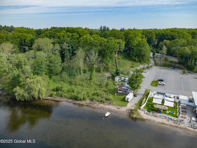 L5 Union Ave, Saratoga Springs, NY 12866 - photo 13