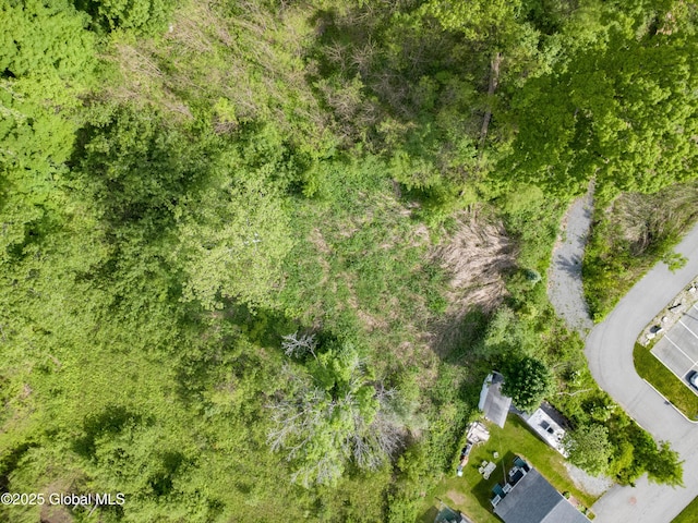 L5 Union Ave, Saratoga Springs, NY 12866 - photo 14
