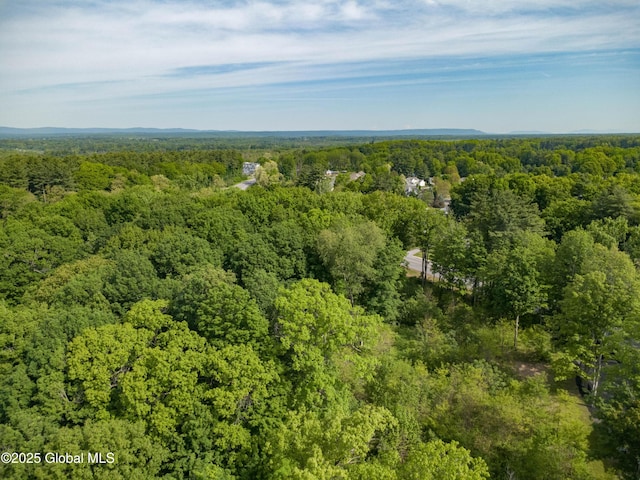 L5 Union Ave, Saratoga Springs, NY 12866 - photo 15