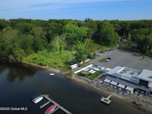 L5 Union Ave, Saratoga Springs, NY 12866 - photo 5