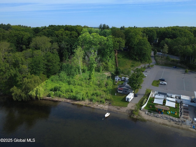 L5 Union Ave, Saratoga Springs, NY 12866 - photo 4