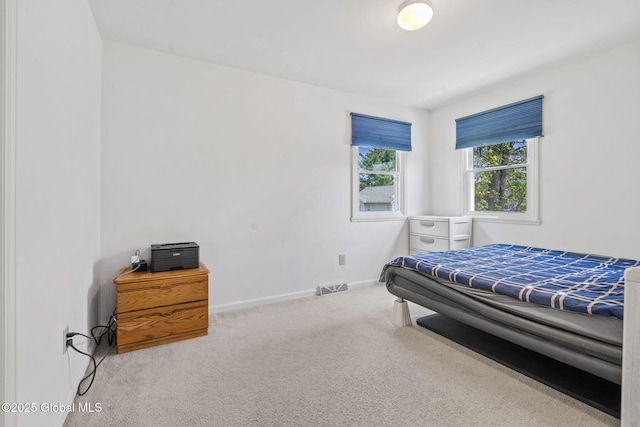 19 Runnel Dr, Colonie, NY 12304 - bedroom featuring carpet floors and baseboards