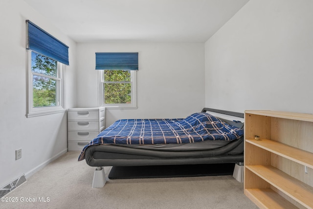 19 Runnel Dr, Colonie, NY 12304 - bedroom with carpet floors and baseboards