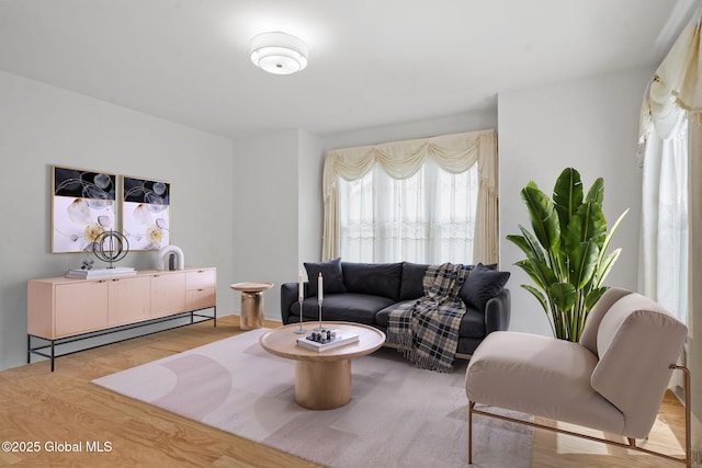 19 Runnel Dr, Colonie, NY 12304 - living room featuring light wood-type flooring