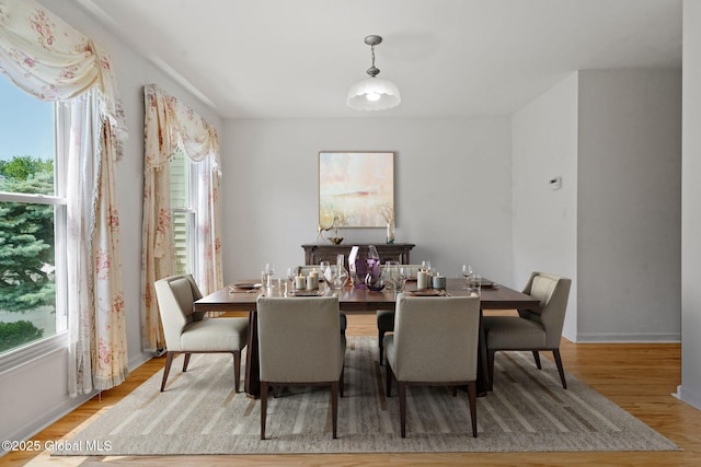 19 Runnel Dr, Colonie, NY 12304 - dining area with wood finished floors