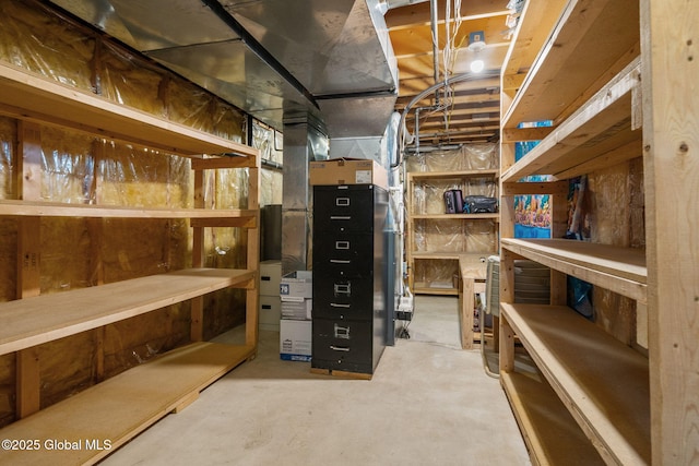 19 Runnel Dr, Colonie, NY 12304 - view of storage