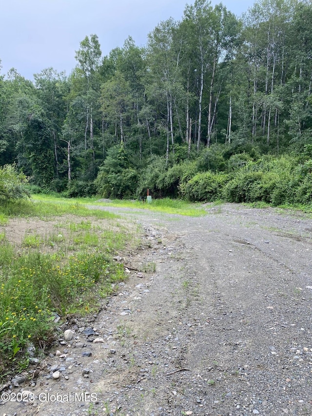 52 Spring Landing Blvd, Brunswick, NY 12198
