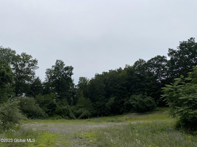 52 Spring Landing Blvd, Brunswick, NY 12198