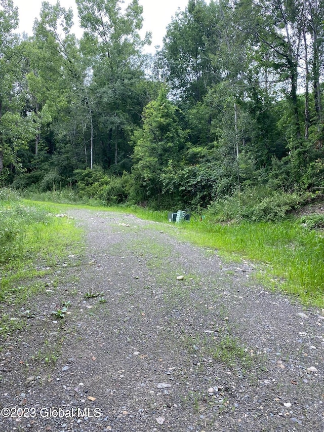 52 Spring Landing Blvd, Brunswick, NY 12198