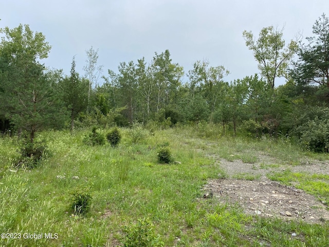 48 Spring Landing Blvd, Brunswick, NY 12198