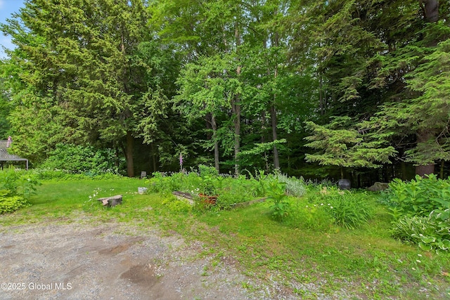 21 Hemlock Dr, Greenfield, NY 12833 - view of undeveloped land