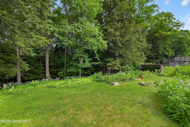 21 Hemlock Dr, Greenfield, NY 12833 - view of green lawn featuring a view of trees