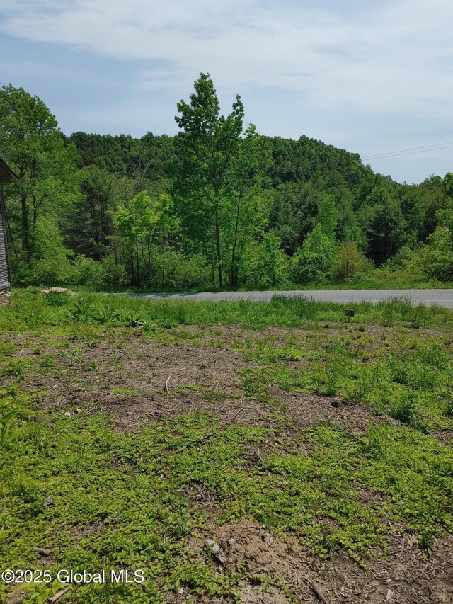 67 Hutton Square Rd, Putnam, NY 12861 - photo 3