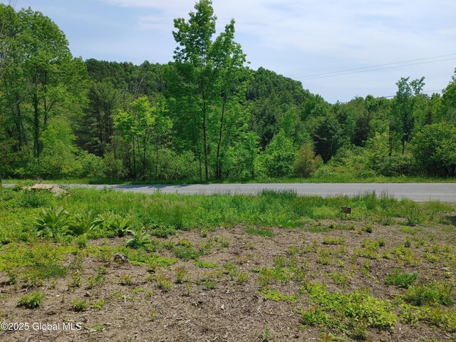 67 Hutton Square Rd, Putnam, NY 12861 - photo 5